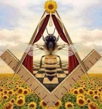 Not a beehive, but a bee!